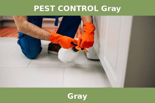 PEST CONTROL Gray